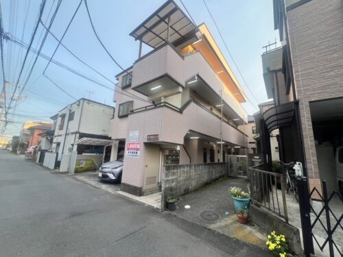 LINE_ALBUM_コーラルリーフ_240608_3