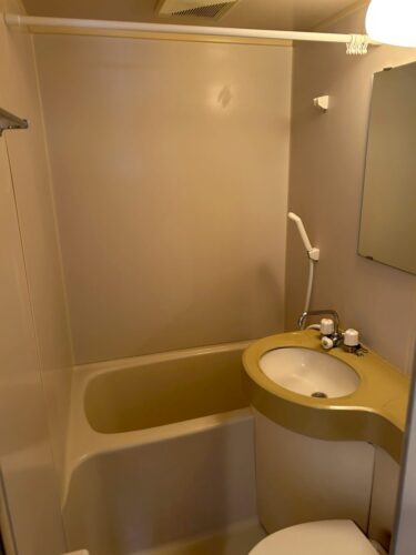 LINE_ALBUM_【施工前】クロノス聖蹟桜ヶ丘308_250908_27